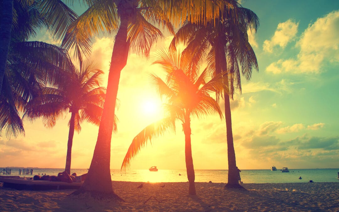 Tripps Now Explains How To Select The Best Island Getaways