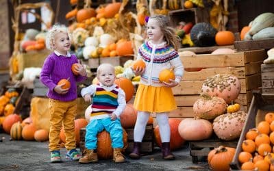 Tripps Now Explores Family-Friendly Fall Destinations