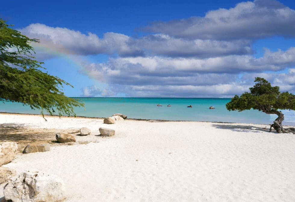 Tripps Now Explains Why the Surge in Visiting Aruba in 2025 (2)